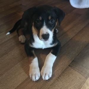 Meet your Posher, Stacey